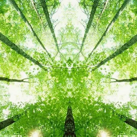 Ibis Budget Lille - Stade Pierre Mauroy 2* Ronchin