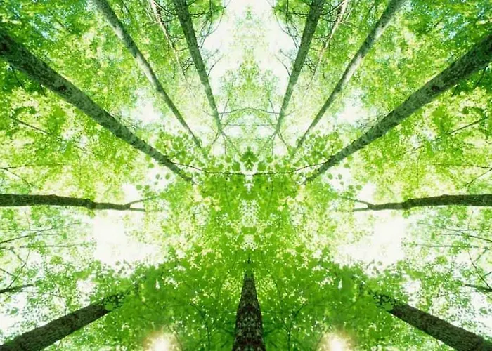 Ibis Budget Lille - Stade Pierre Mauroy 2* Ronchin